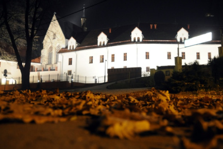 Zuchy 2012