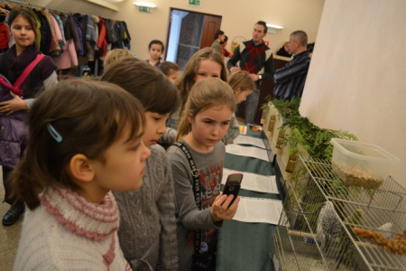 Na Zamku ruszyły ferie 2013