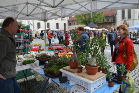 Drugi zamkowy jarmark już za nami