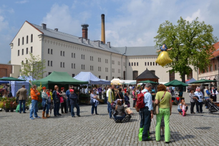 PROGRAM II FESTIWALU ORGANIZACJI POZARZĄDOWYCH „POZYTYWNA ENERGIA EKONOMII SPOŁECZNEJ”