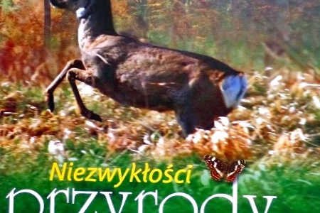 Niezwykłości przyrody powiatu raciborskiego i okolic - prezentacja albumu już w środę