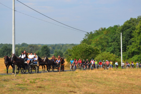 21 sierpnia utrudnienia w ruchu na drodze Rudy-Szymocice-Racibórz oraz Kuźnia Raciborska-Nędza