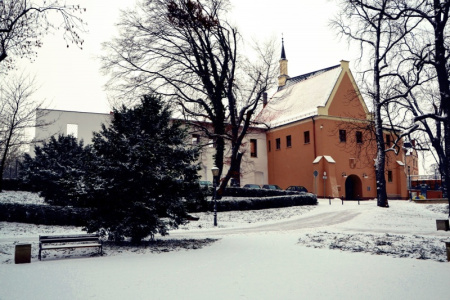 UWAGA! Od 1 stycznia zmiana cen biletów wstępu oraz wysokości opłat za korzystanie z urządzeń i obiektów na Zamku Piastowskim w Raciborzu