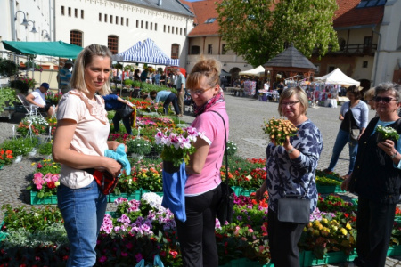 VI Zamkowy Jarmark kwiatów, żywności ekologicznej i rękodzieła na Zamku Piastowskim za nami
