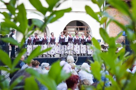 Nasz kochany Śląsk. Biesiada na Zamku Piastowskim przyciągnęła tłumy