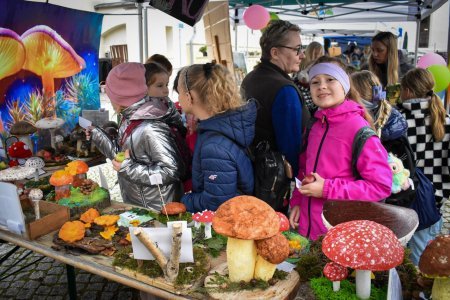 Bezpieczne Grzybobranie 2025 za nami
