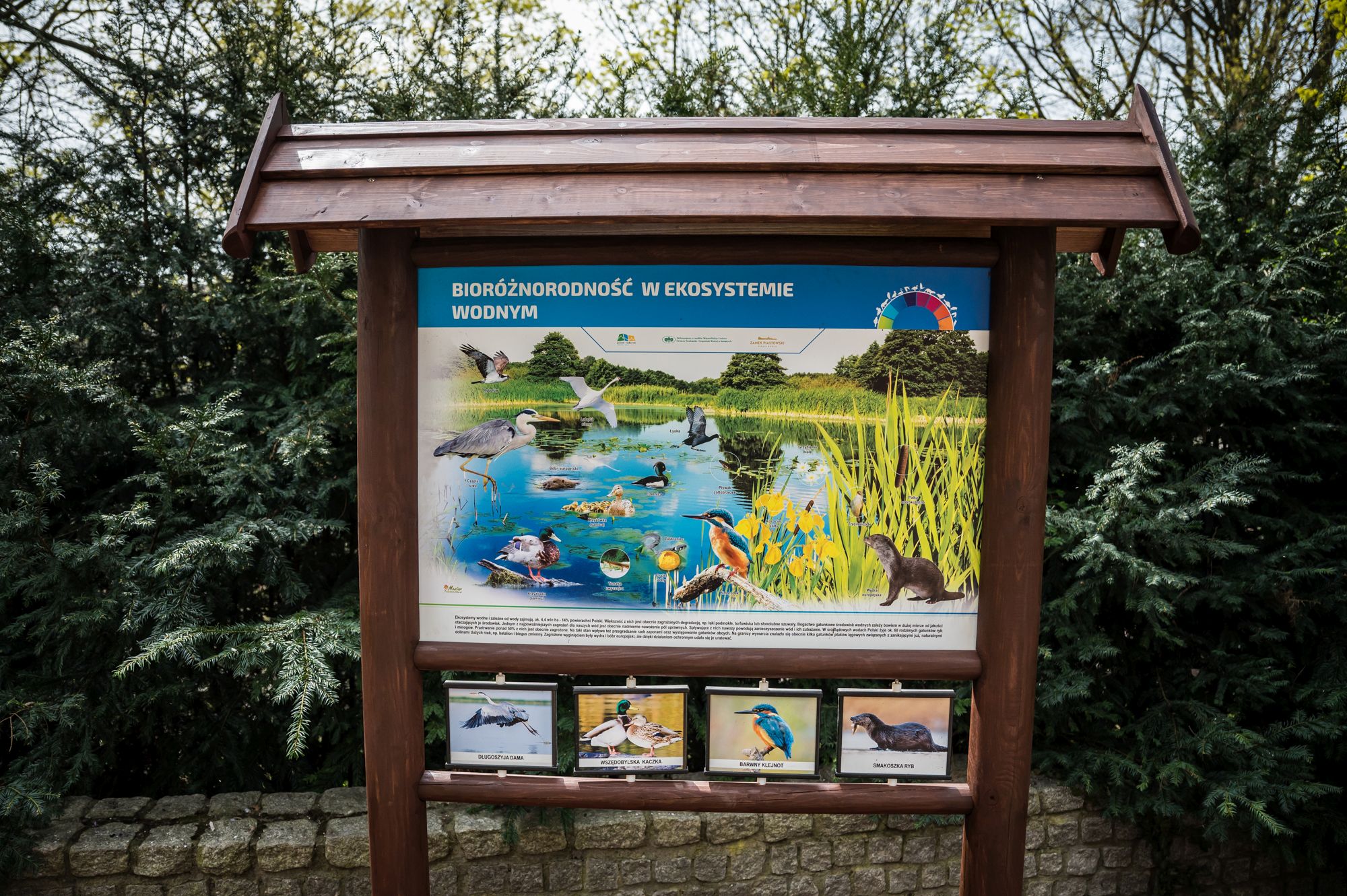 Tablica informacyjna projektu &bdquo;Odrarium &ndash; zamkowe ścieżki edukacyjne jako elementy małej architektury&rdquo;