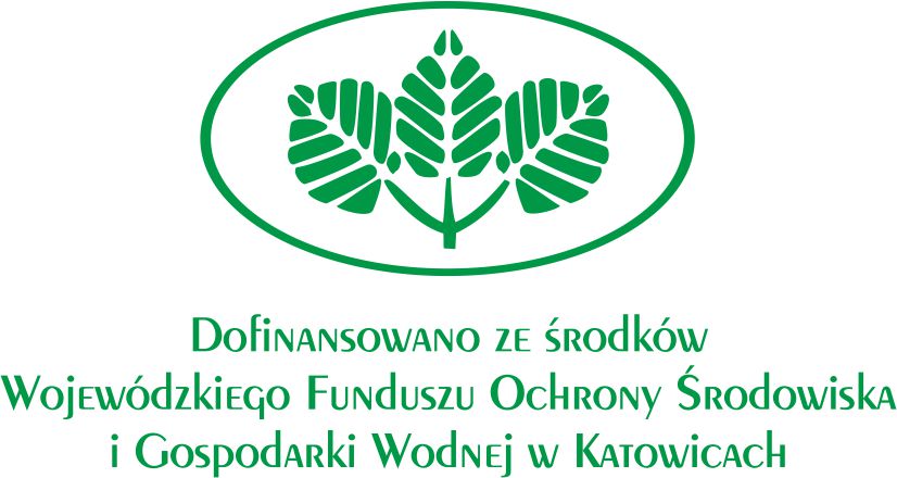Logo: Wojew&oacute;dzki Fundusz Ochrony Środowiska i Gospodarki Wodnej w Katowicach