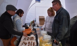 Piknik Rodzinny „Fundusze Europejskie. Nowa Energia!” (50)