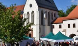 II Mażoretkowy Zawrót Głowy (7)