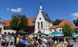 II Mażoretkowy Zawrót Głowy (6)