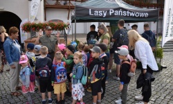 Bezpieczne Grzybobranie (14)