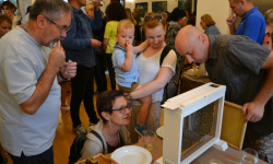 Zdjęcie z degustacji na zamku (34)