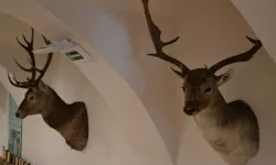 Zdjęcie z degustacji na zamku (19)