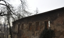 Brak tytulu