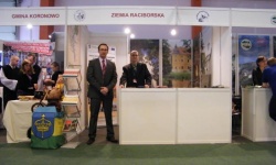 Brak tytulu