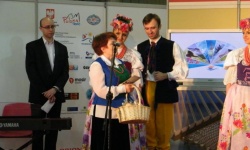 Brak tytulu