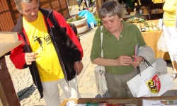 Brak tytulu