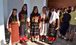 Brak tytulu