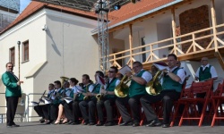 Brak tytulu