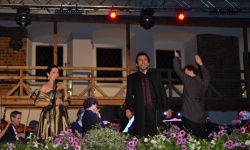 Brak tytulu
