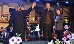 Brak tytulu