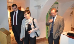 Brak tytulu