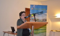 Brak tytulu
