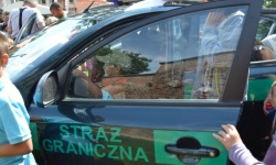 Brak tytulu