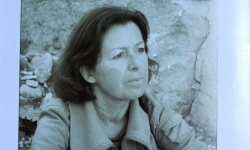 Brak tytulu