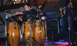 Brak tytulu