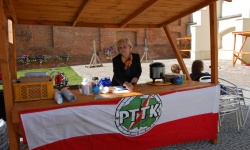 Brak tytulu