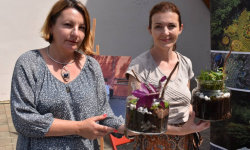 Festiwal „Dziesiątka i Przyjaciele” (23)