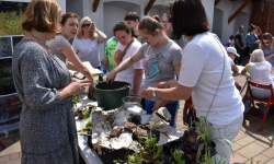 Festiwal „Dziesiątka i Przyjaciele” (17)