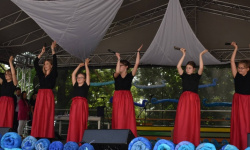 Festiwal „Dziesiątka i Przyjaciele” (4)