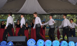Festiwal „Dziesiątka i Przyjaciele” (5)