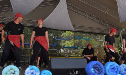 Festiwal „Dziesiątka i Przyjaciele” (8)