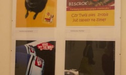 Brak tytulu