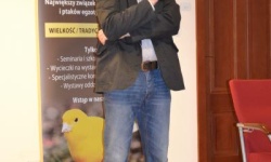 Brak tytulu