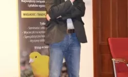 Brak tytulu