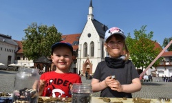 Aktywne sobotnie popołudnie (11)