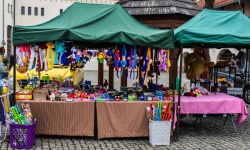 Zlot Food Trucków (21)