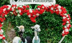 Hobby horse i konne przejażdżki na raciborskim zamku (3)