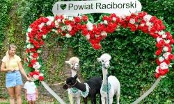 Hobby horse i konne przejażdżki na raciborskim zamku (5)