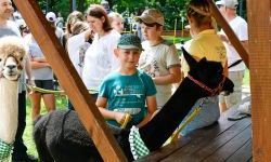 Hobby horse i konne przejażdżki na raciborskim zamku (10)