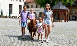 Hobby horse i konne przejażdżki na raciborskim zamku (26)