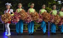 Raciborskie święto folkloru na Zamku Piastowskim (7)