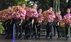 Raciborskie święto folkloru na Zamku Piastowskim (13)