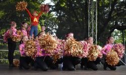 Raciborskie święto folkloru na Zamku Piastowskim (15)