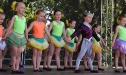 Raciborskie święto folkloru na Zamku Piastowskim (13)